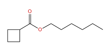 Hexyl cyclobutanecarboxylate